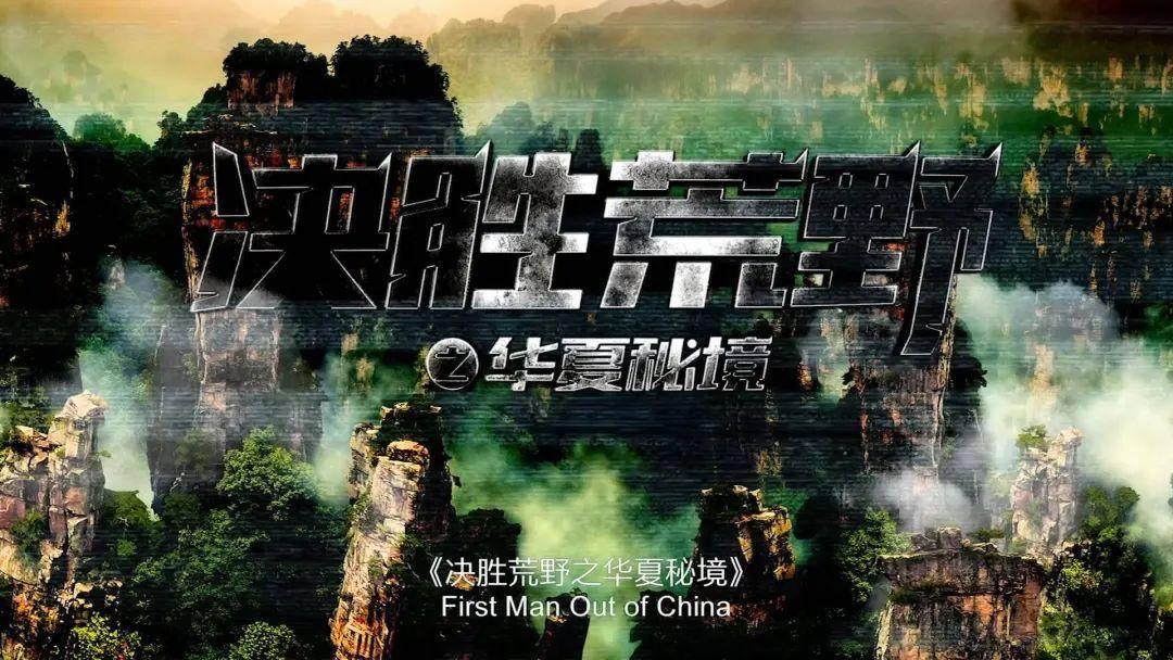 小猫钓鱼正版下载中文版